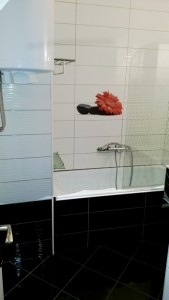 renoviranje kupatila sa ukrasnim elementima